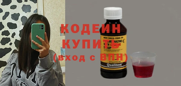 молекула духа Карпинск