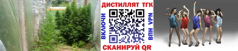 Дистиллят ТГК вейп как найти закладки Дно